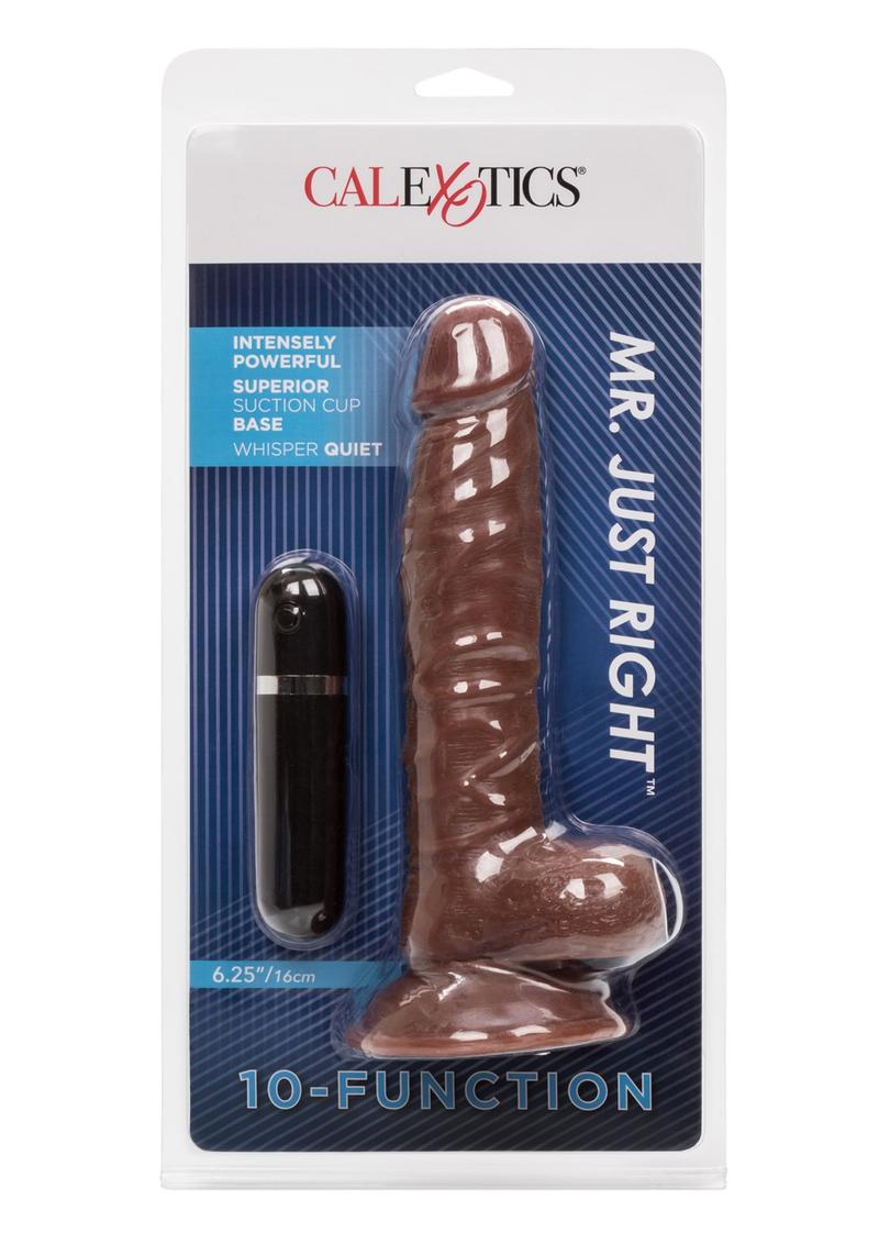 Mr Just Right Vibrating Dildo with Bullet