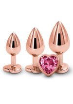 Rear Assets Aluminum Anal Plug Trainer Kit
