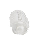 Stud Extender with Support Ring - Clear - 5.5in