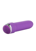 Classic Chic Mini Vibrator