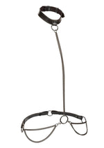 Euphoria Collection Chain Halter/Collar and Leash - Black