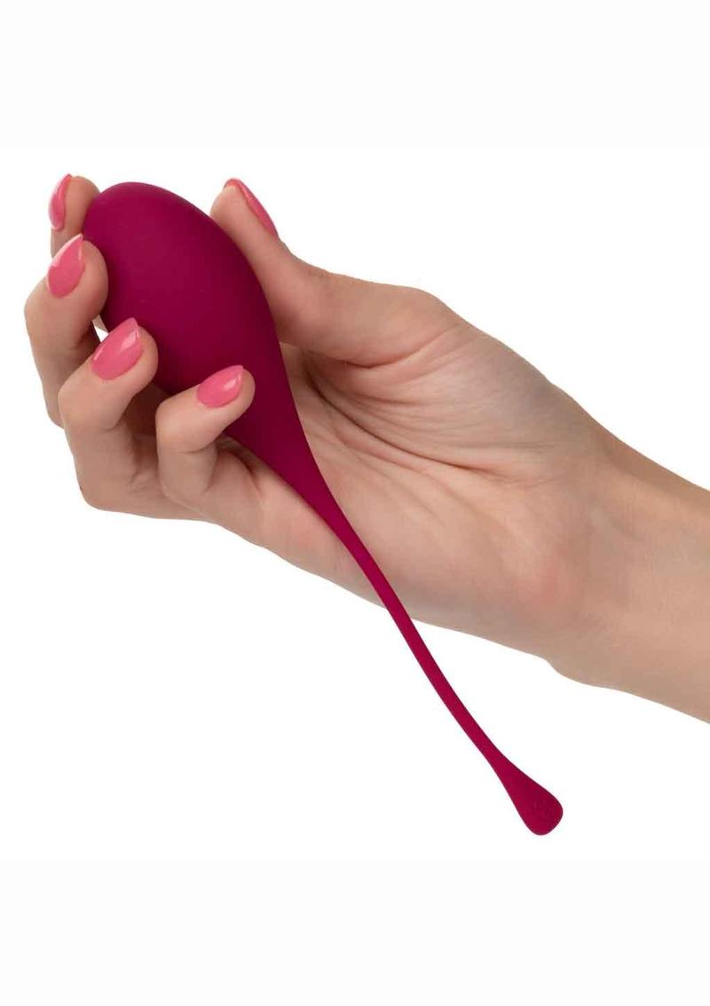 Kegel Training - Assorted Colors/Multicolor - 5 Piece/Set