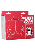 Punishment Choker and Nipple Clamps - Rose Gold