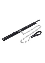 Signature Midnight Muse Collar and Leash