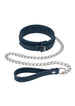 Signature Twilight Tease Collar and Leash - Blue/Silver